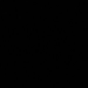 Meet your Posher, Shaneece